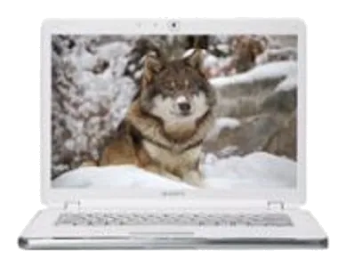 Замена оперативной памяти Sony VAIO VGN-AR520E/B