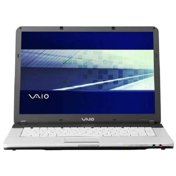 Замена оперативной памяти Sony VAIO VGN-FS8900P3