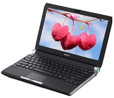 Замена оперативной памяти Sony VAIO VGN-TT1RVN/X