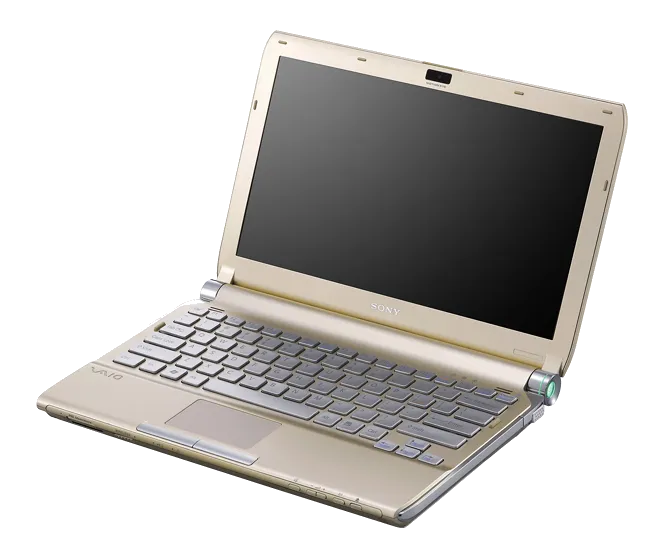 Замена оперативной памяти Sony VAIO VGN-TT290NAN