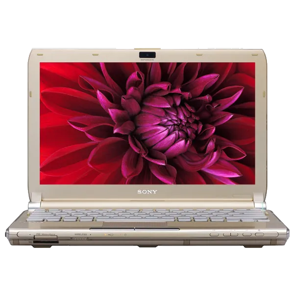 Замена оперативной памяти Sony VAIO VGN-TT4MRG