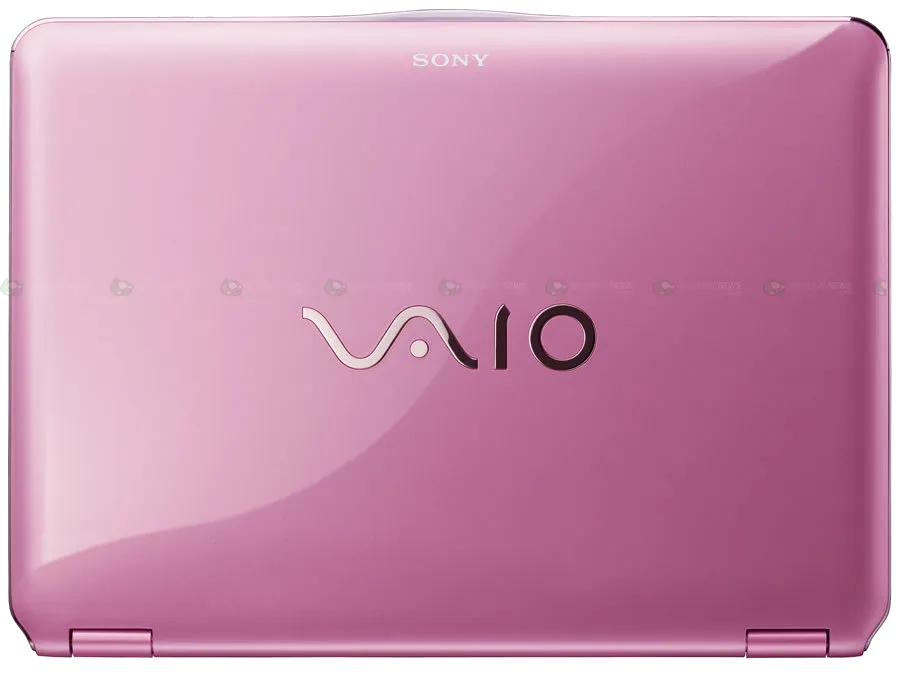 Замена оперативной памяти Sony VAIO VGN-TYPECCS60B/P