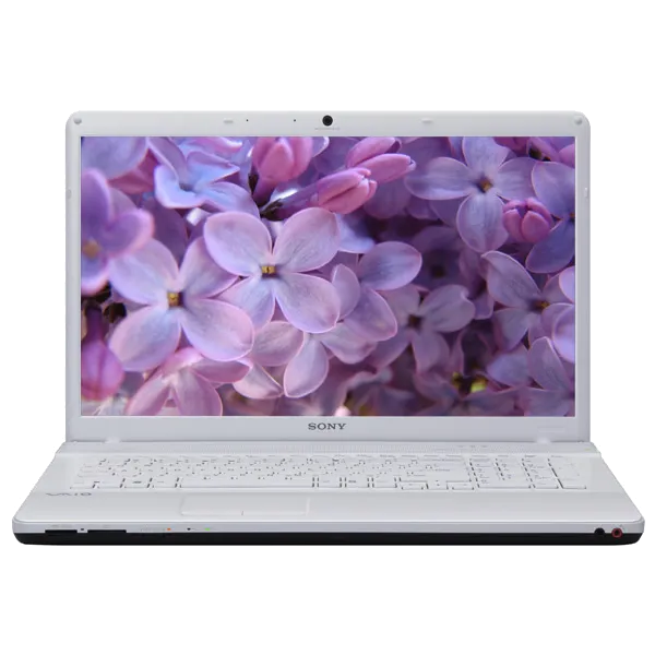 Замена оперативной памяти Sony VAIO VPC-EC2M1R/WI