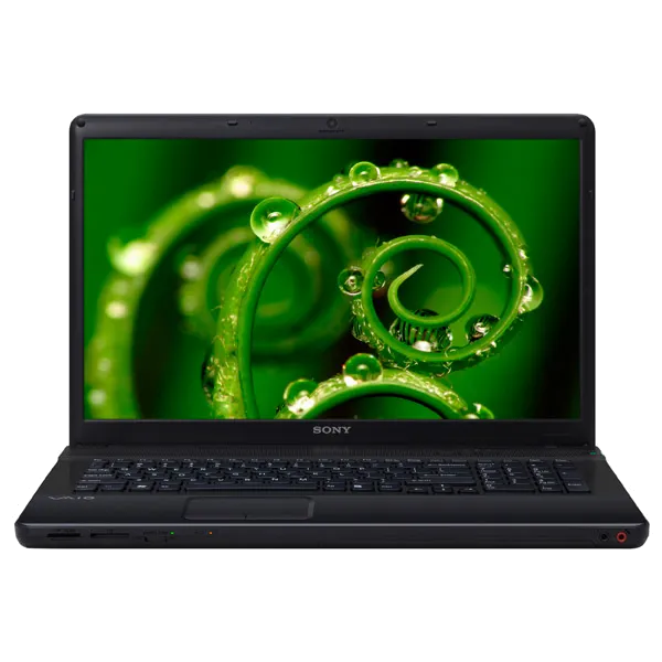 Замена оперативной памяти Sony VAIO VPC-EC2S1R/BJ